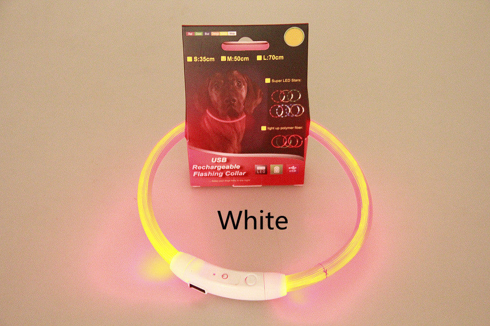 Wiederaufladbares LED-Neon-Halsband für Haustiere – Sicherheit und Stil für nächtliche Spaziergänge!