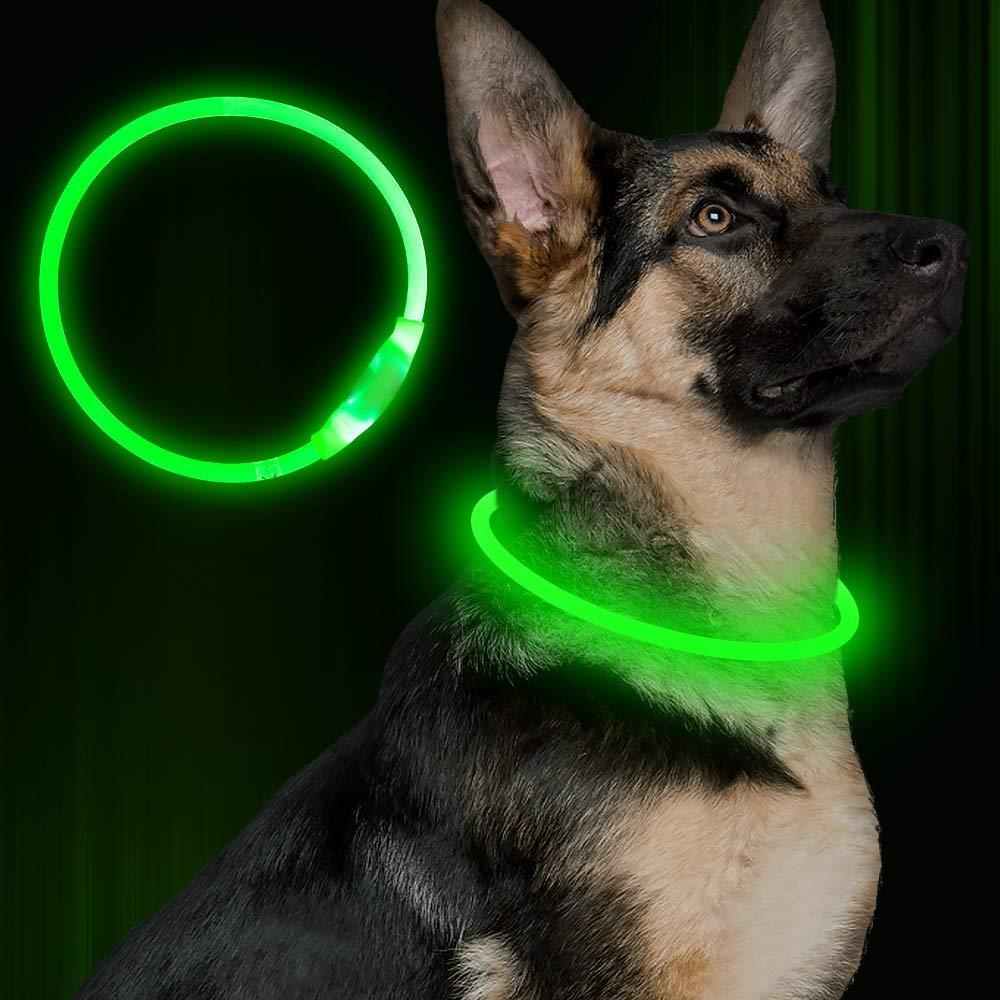 Wiederaufladbares LED-Neon-Halsband für Haustiere – Sicherheit und Stil für nächtliche Spaziergänge!